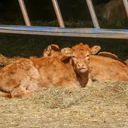 1 Pines Farm * Ulleskelf