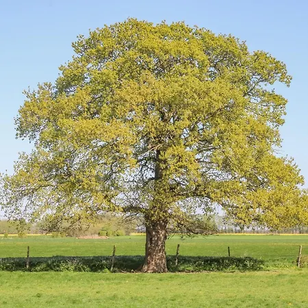 1 Pines Farm Ulleskelf